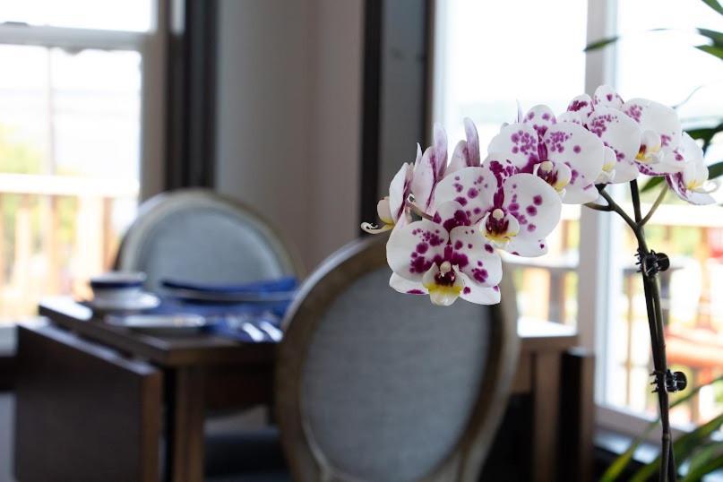 קופוויל Anchorage Inn B&B מראה חיצוני תמונה
